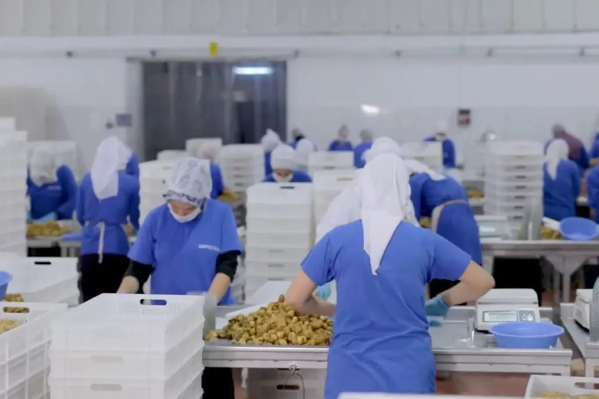 14 ulkeye ihracat yapan turk gida devi konkordato ilan etti WdAl8FTP