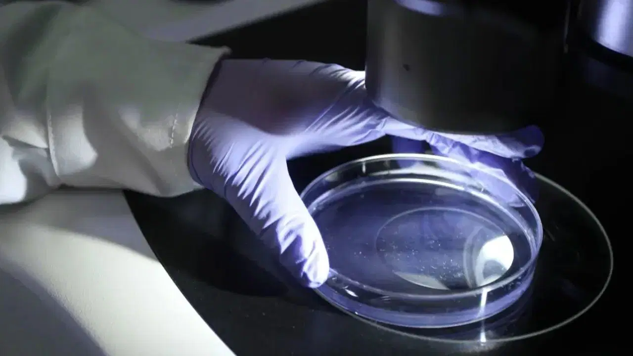 yapay zeka sayesinde bakterileri olduren virus uretildi dYZhvSA2