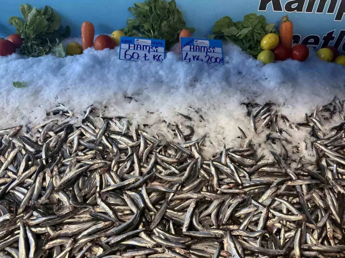 hamsinin fiyati dusmeye devam ediyor 5udSwB36.jpg